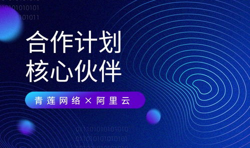 青蓮網(wǎng)絡(luò) 攜手阿里云，共建云原生及MSP合作新生態(tài)