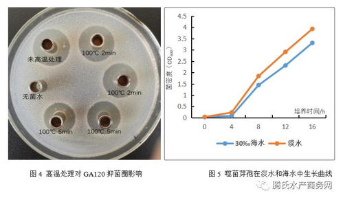 根源集團(tuán)益倍康GA120 開啟生物抑菌新紀(jì)元